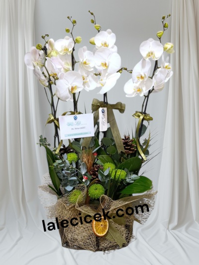 BALKON SERAMİKTE  ORKİDE ARANJMAN
