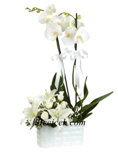 kütahya çiçek siparişi